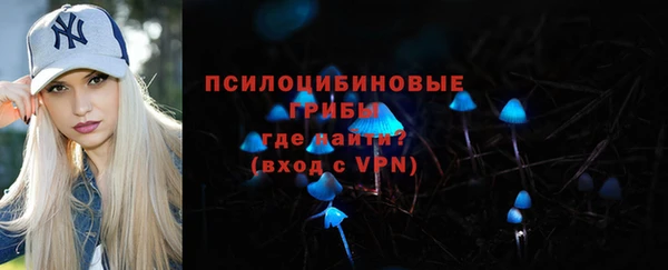 дурь Медвежьегорск