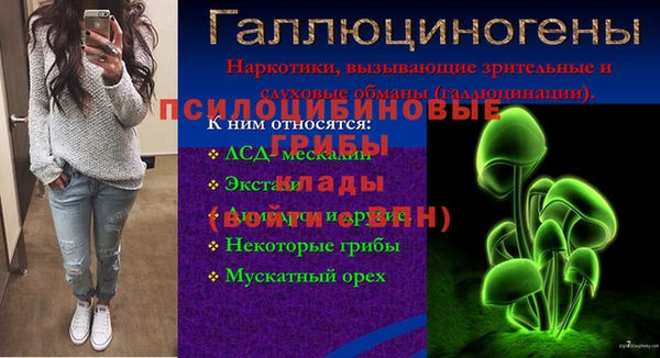 дурь Медвежьегорск